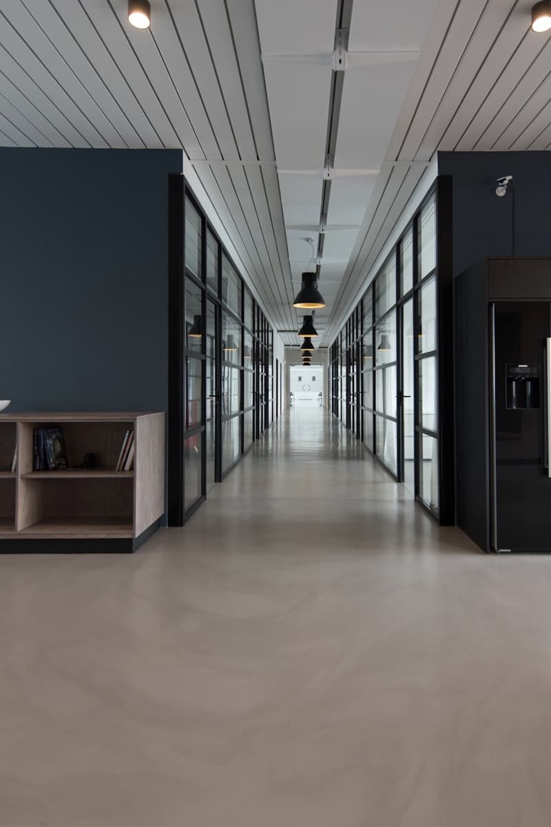 Ambiente de trabalho com luz natural e presença silenciosa